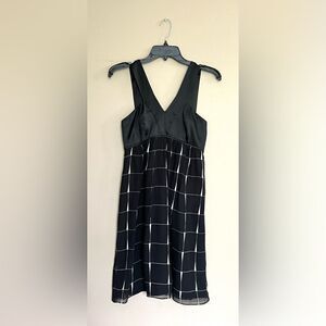 Express Vintage Babydoll Silk and Chiffon Dress